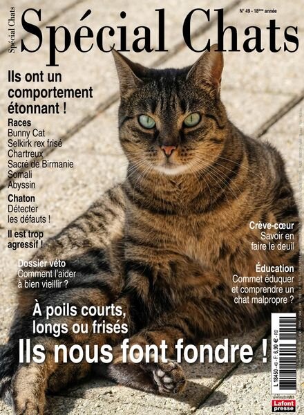 Special Chats – Octobre-Decembre 2020 Cover