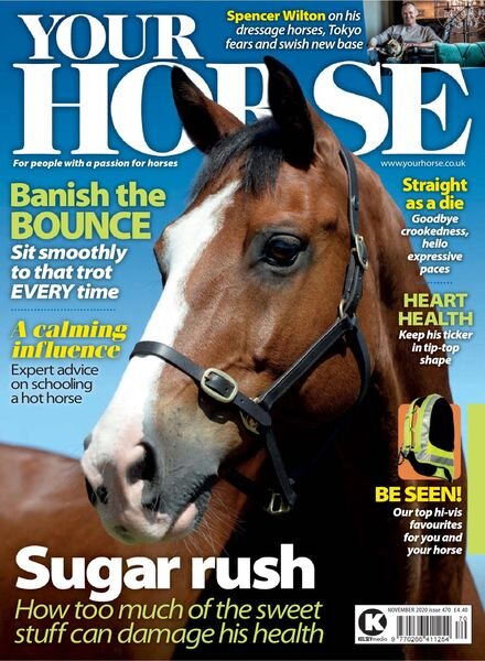 Your Horse – November 2020 Cover