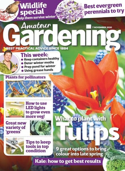 Amateur Gardening – 07 November 2020 Cover