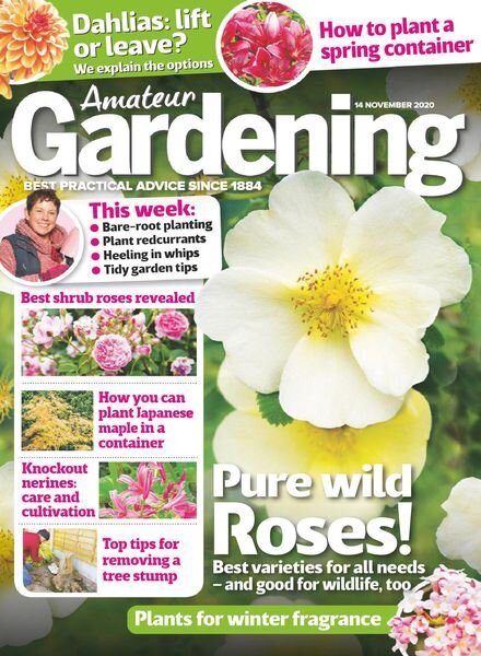 Amateur Gardening – 14 November 2020 Cover