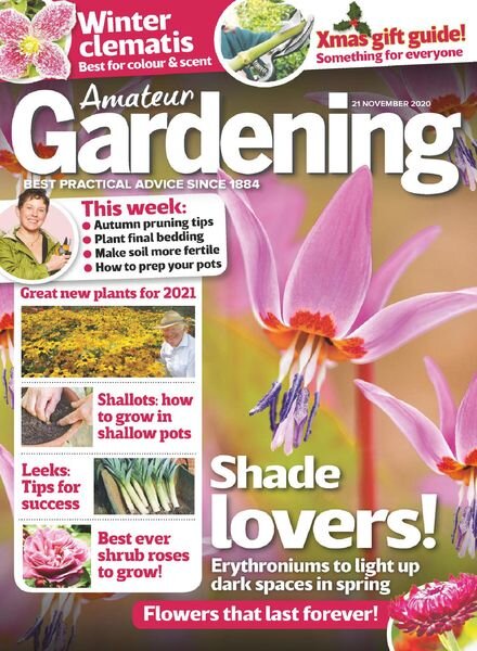 Amateur Gardening – 21 November 2020 Cover