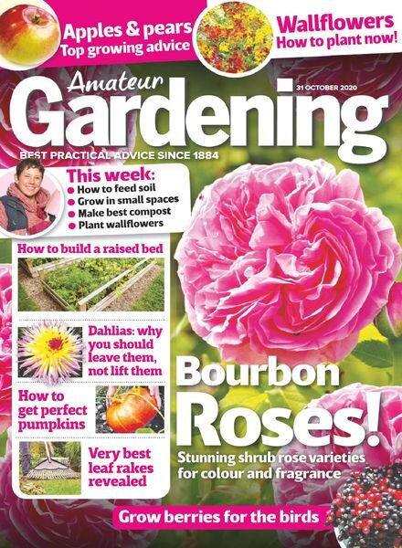 Amateur Gardening – 31 October 2020 Cover