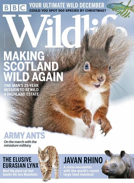 BBC Wildlife – December 2020 Cover