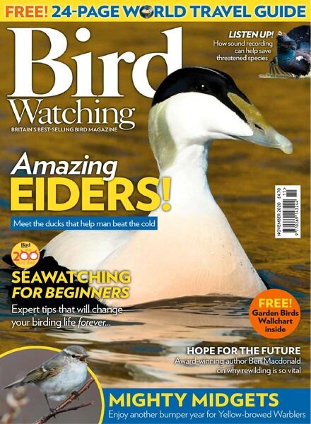Bird Watching UK – November 2020 Cover