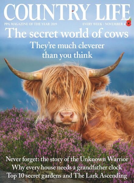 Country Life UK – November 04, 2020 Cover
