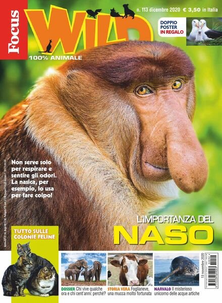 Focus Wild – dicembre 2020 Cover
