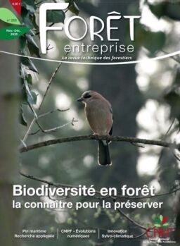 Foret Entreprise – Novembre-Decembre 2020