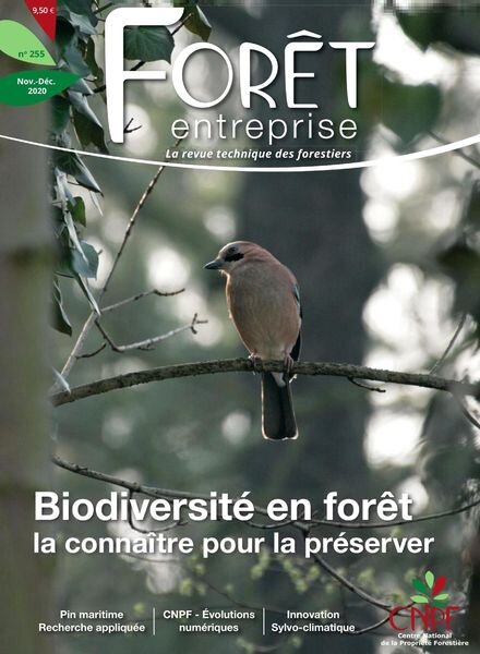 Foret Entreprise – Novembre-Decembre 2020 Cover