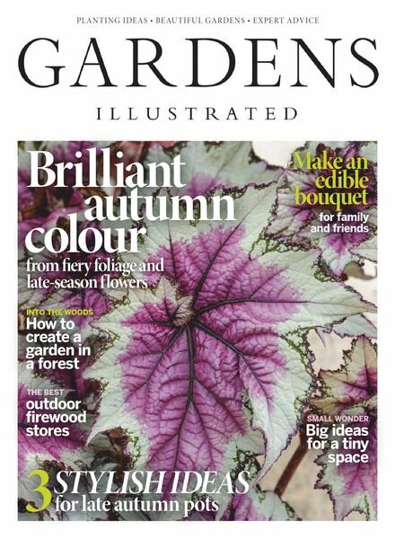 Gardens Illustrated – November 2020 Cover