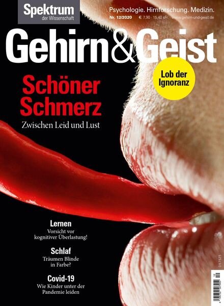Gehirn & Geist – Dezember 2020 Cover