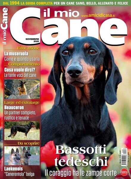 Il Mio Cane – Novembre 2020 Cover