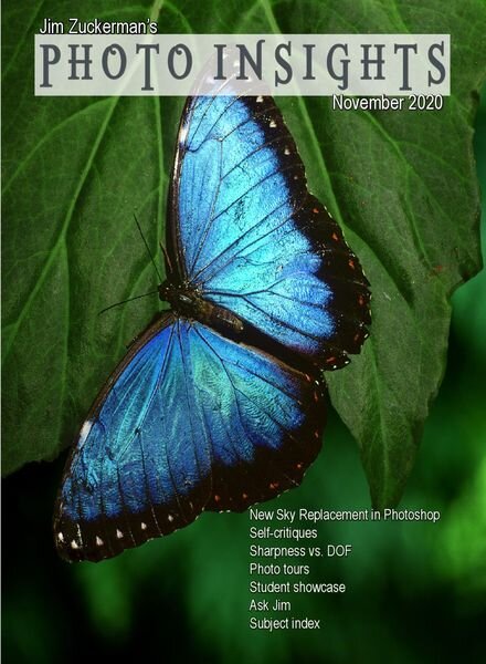Photo Insights – November 2020 Cover