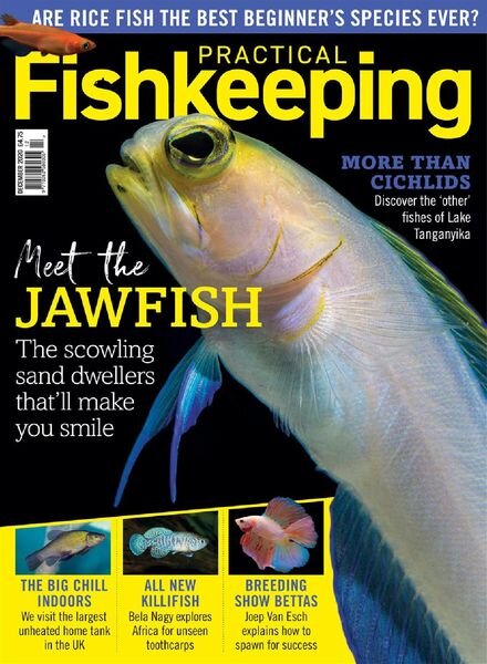 Practical Fishkeeping – December 2020 Cover