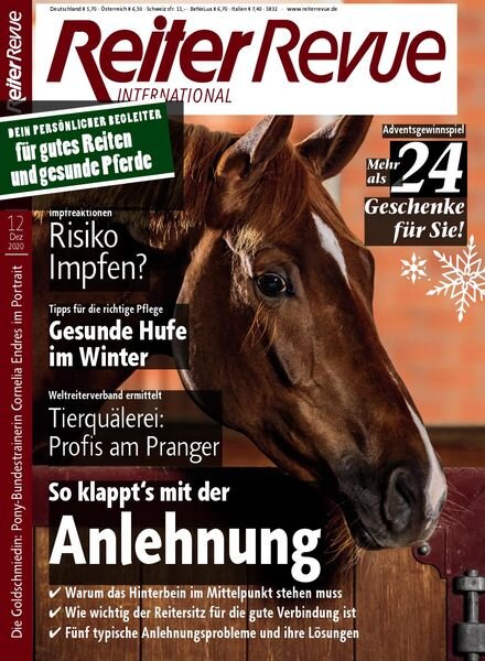 Reiterrevue International – November 2020 Cover