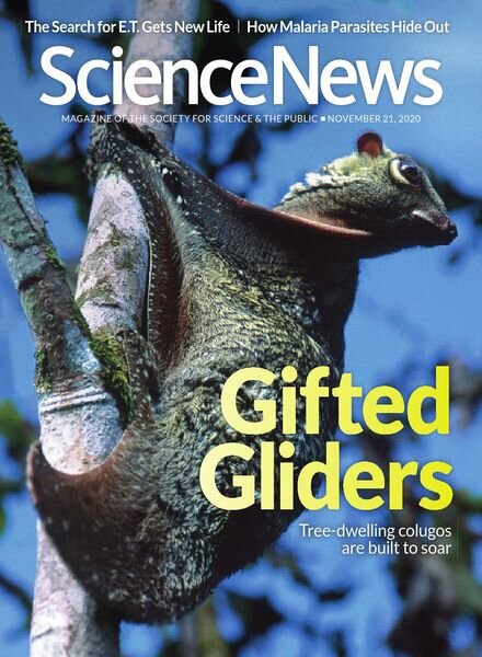 Science News – 21 November 2020 Cover