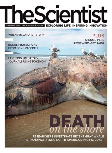 The Scientist – November 2020 Cover