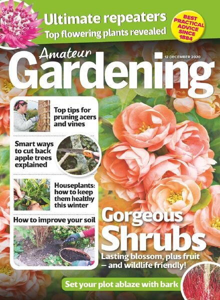 Amateur Gardening – 12 December 2020 Cover