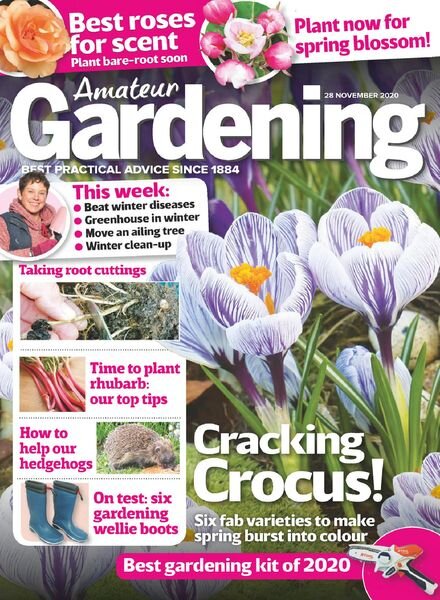 Amateur Gardening – 28 November 2020 Cover