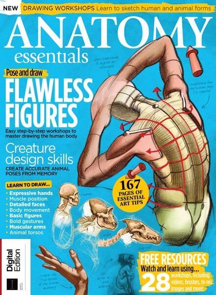 Anatomy Essentials – 9th Edition – November 2020 Cover