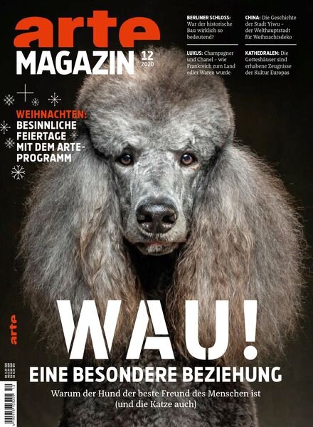 ARTE Magazin – Dezember 2020 Cover