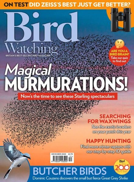 Bird Watching UK – December 2020 Cover