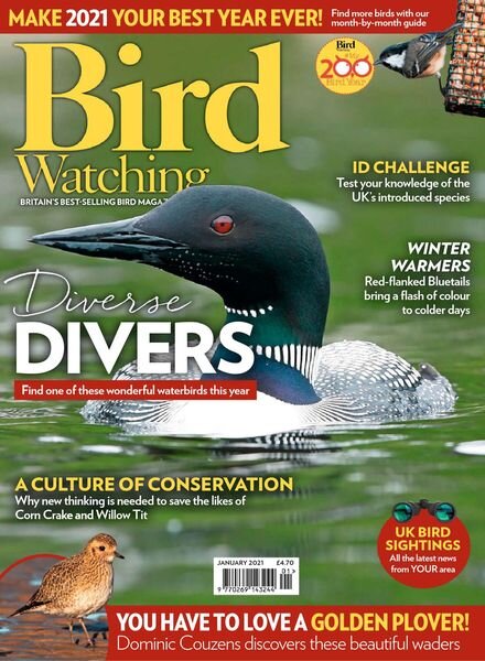 Bird Watching UK – January 2021 Cover