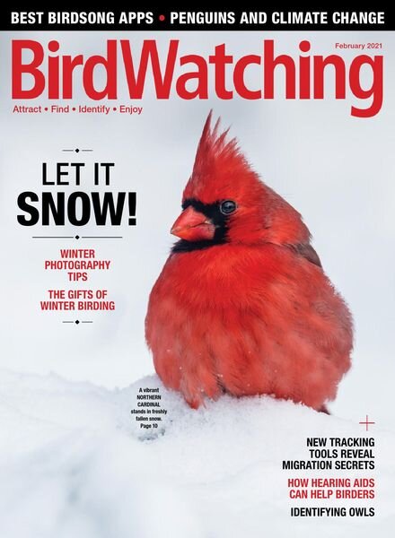 BirdWatching USA – January-February 2021 Cover