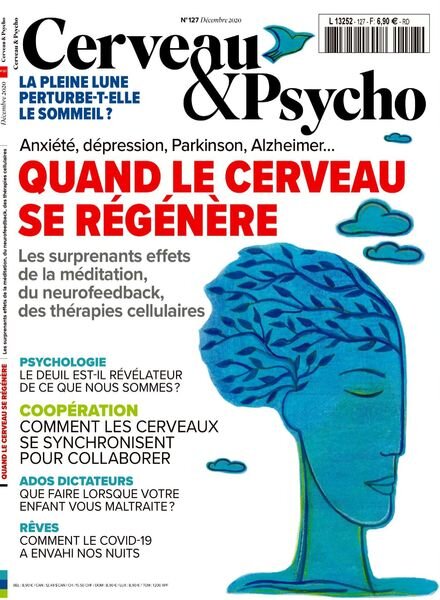 Cerveau & Psycho – Decembre 2020 Cover