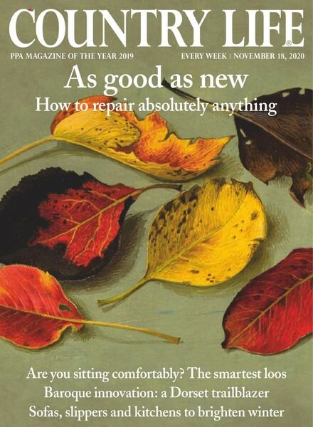 Country Life UK – November 18, 2020 Cover
