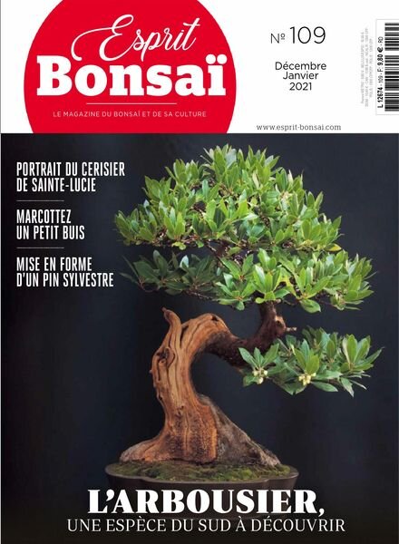 Esprit Bonsai – decembre 2020 Cover
