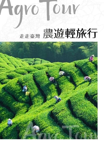 GoGo XinTaiwan – 2020-11-26 Cover