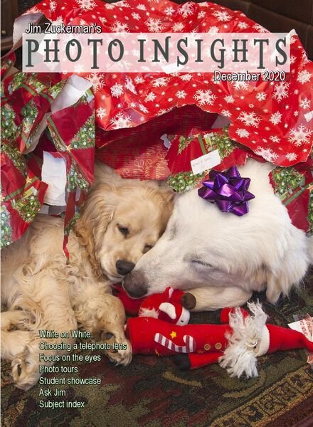 Photo Insights – December 2020 Cover
