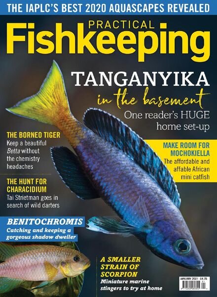 Practical Fishkeeping – January 2021 Cover