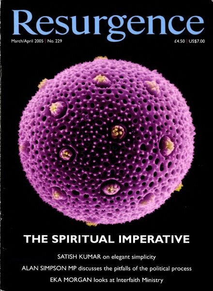 Resurgence & Ecologist – Resurgence, 229 – March-April 2005 Cover