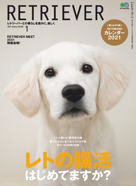 Retriever – 2020-12-01 Cover