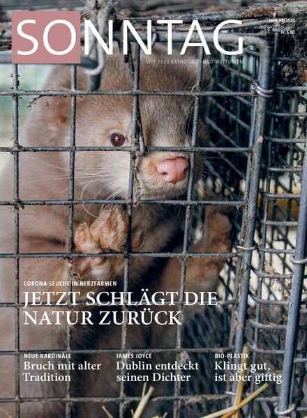 Sonntag – 26 November 2020 Cover