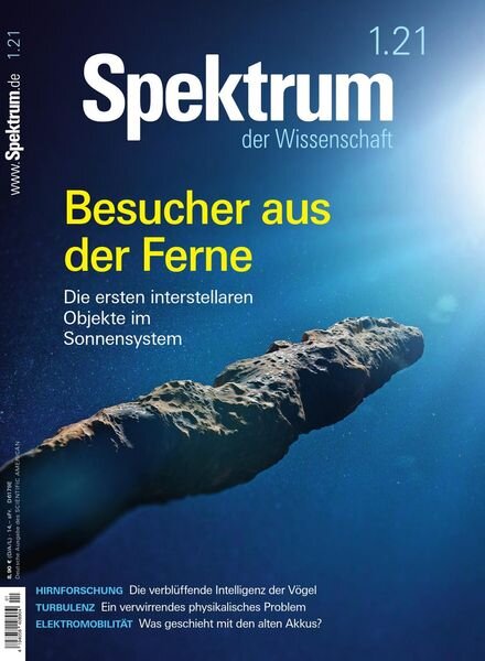 Spektrum der Wissenschaft – Januar 2021 Cover
