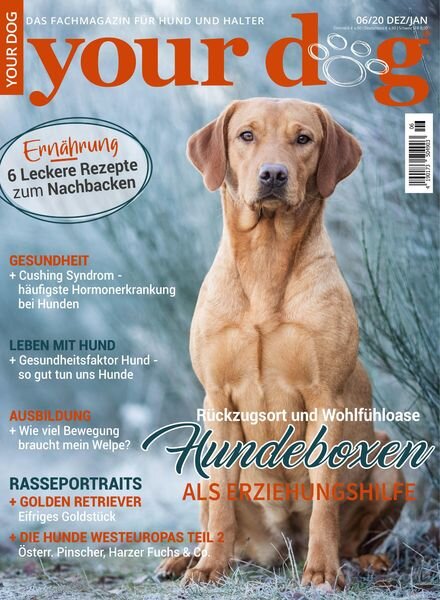 Your Dog – 07 Dezember 2020 Cover