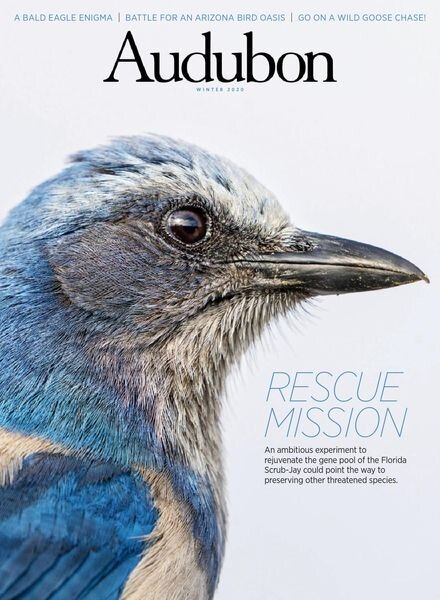 Audubon Magazine – December 2020 Cover