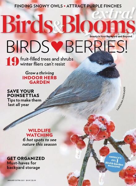 Birds and Blooms Extra – January 2021 Cover
