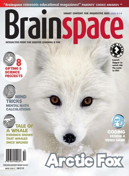 Brainspace – Winter 2020-2021 Cover