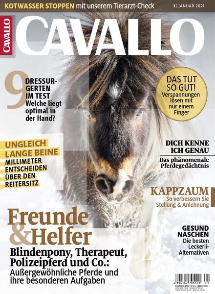 Cavallo – Januar 2021 Cover