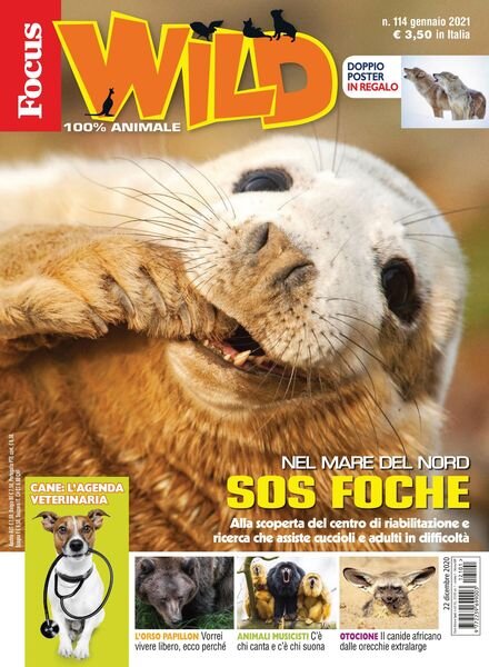 Focus Wild – febbraio 2021 Cover