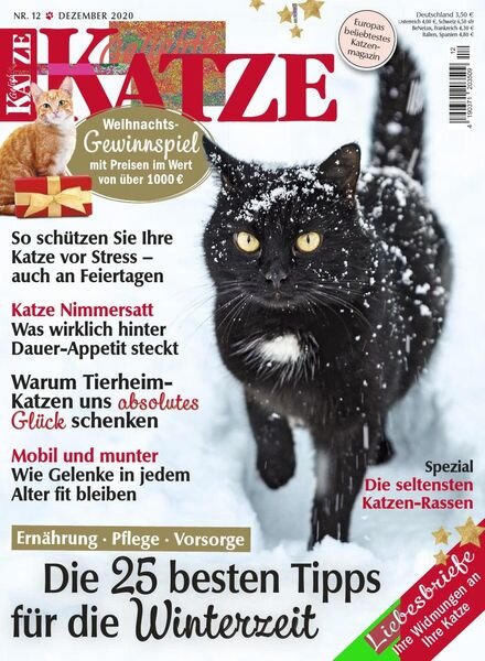 Geliebte Katze – Dezember 2020 Cover