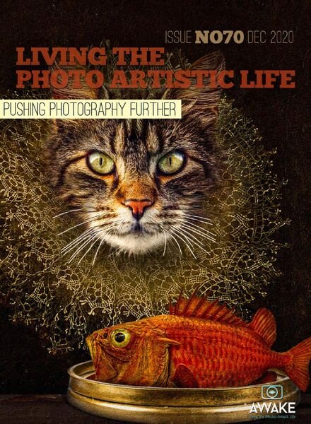 Living The Photo Artistic Life – December 2020 Cover