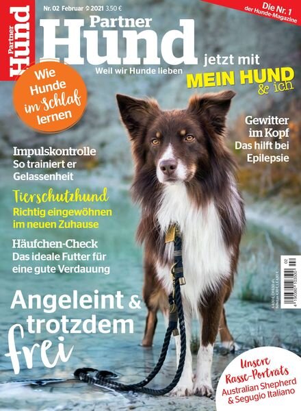 Partner Hund – 05 Januar 2021 Cover