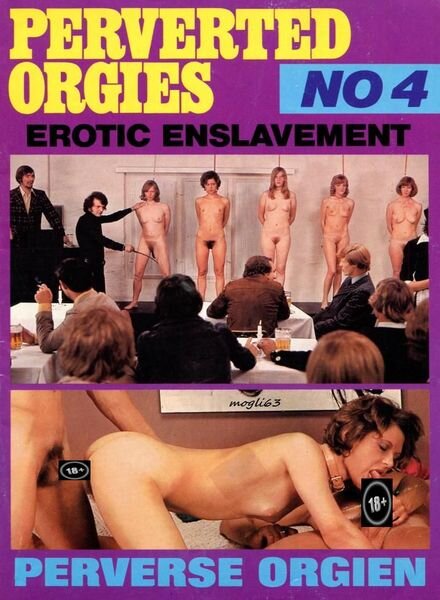 Perverted Orgies – N 4 Cover