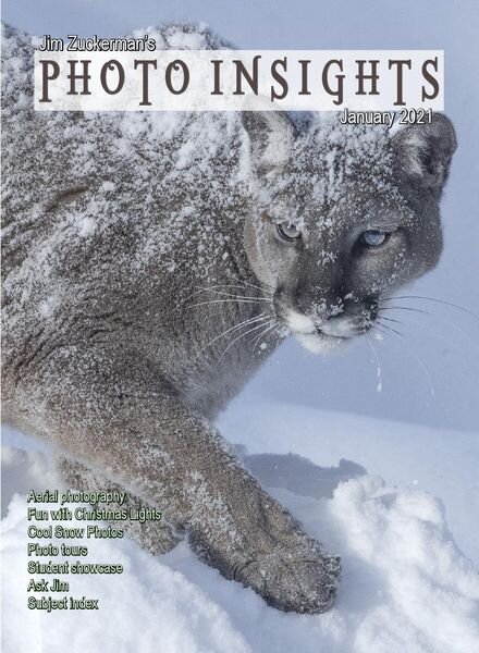 Photo Insights – January 2021 Cover