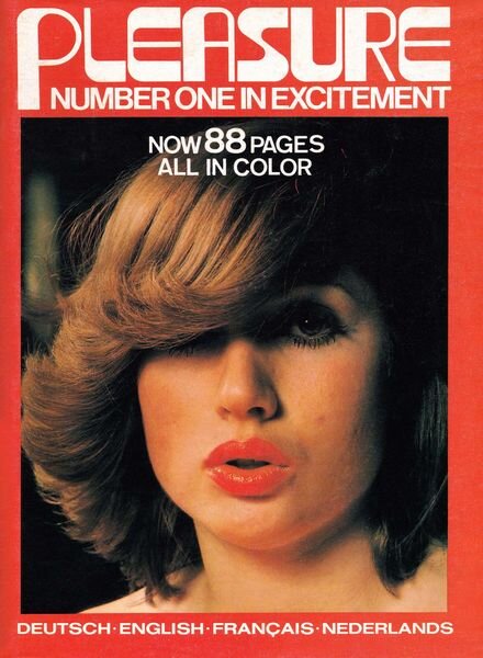Pleasure – N 17 Cover