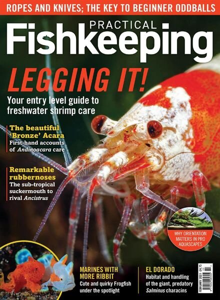 Practical Fishkeeping – February 2021 Cover